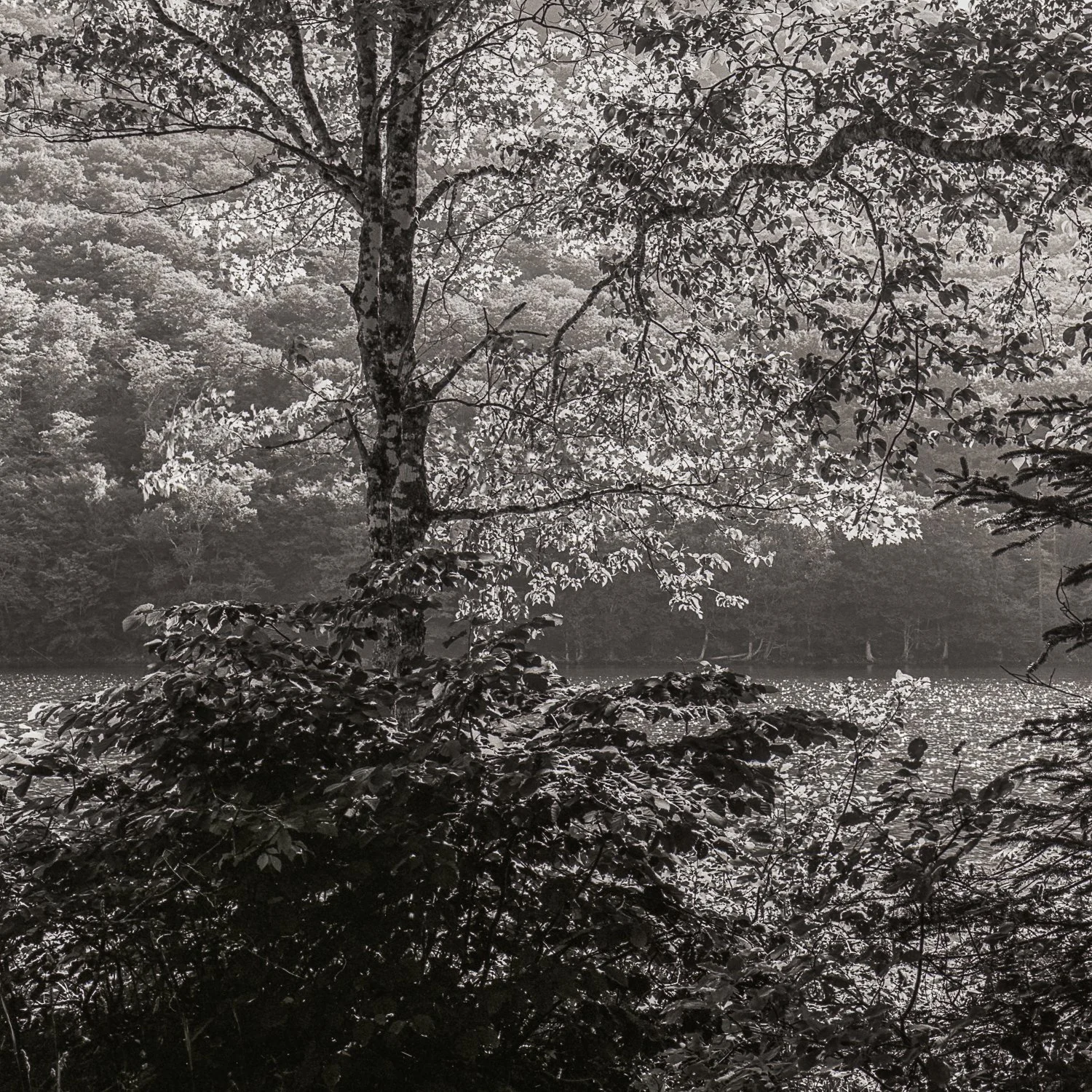 Mark Brennan portfolio-14.jpg