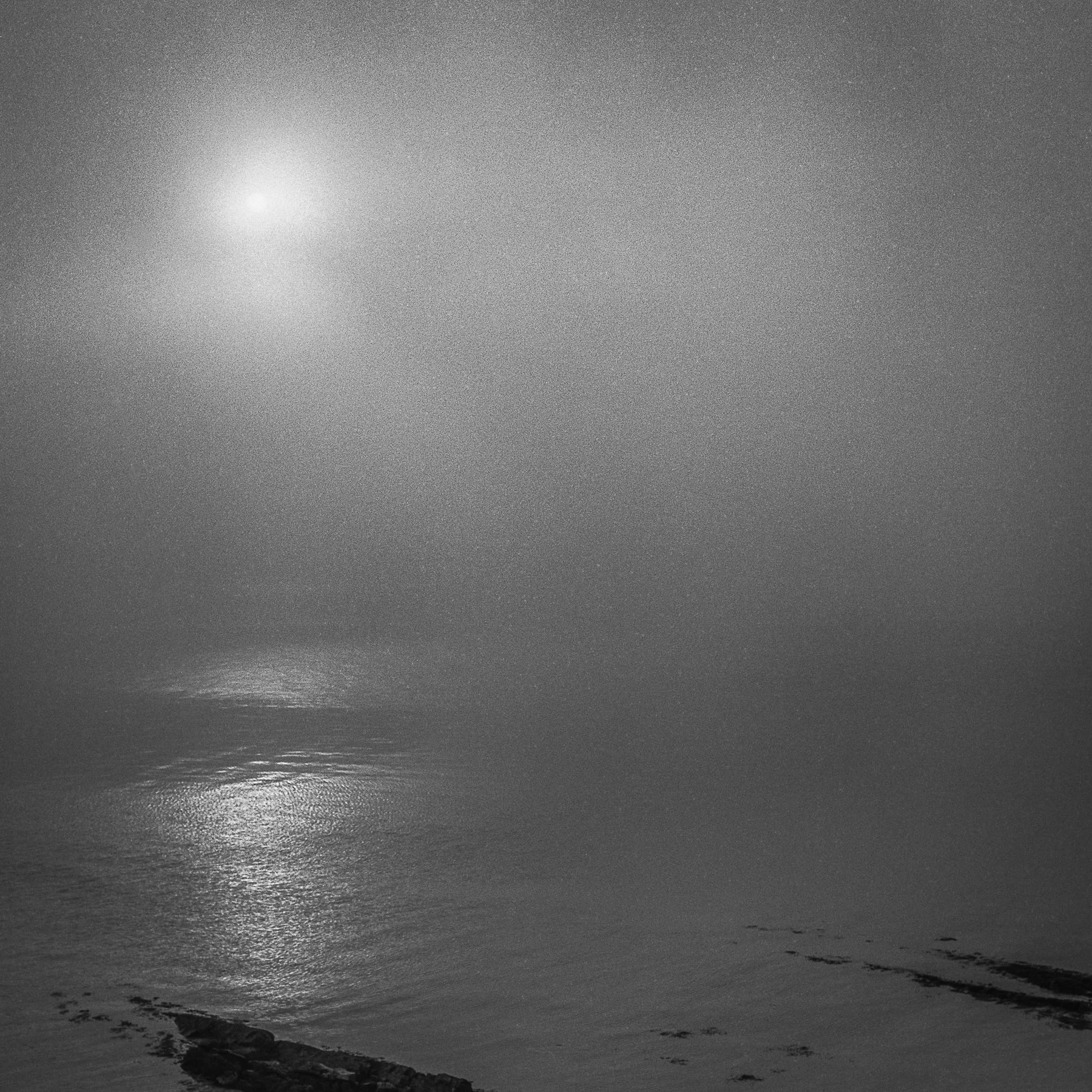 Open Edition Prints-15.jpg