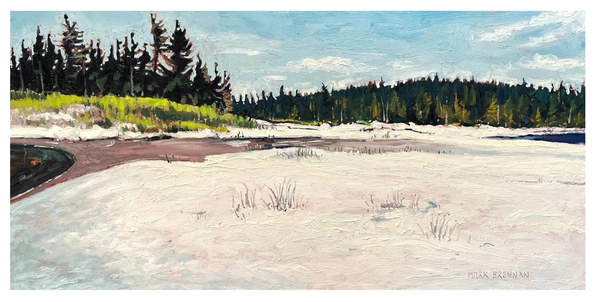 Summer Dunes, Wolfes Island Eastern Shore ns oil on panel 12x22 inches 2022 1100.00.jpg