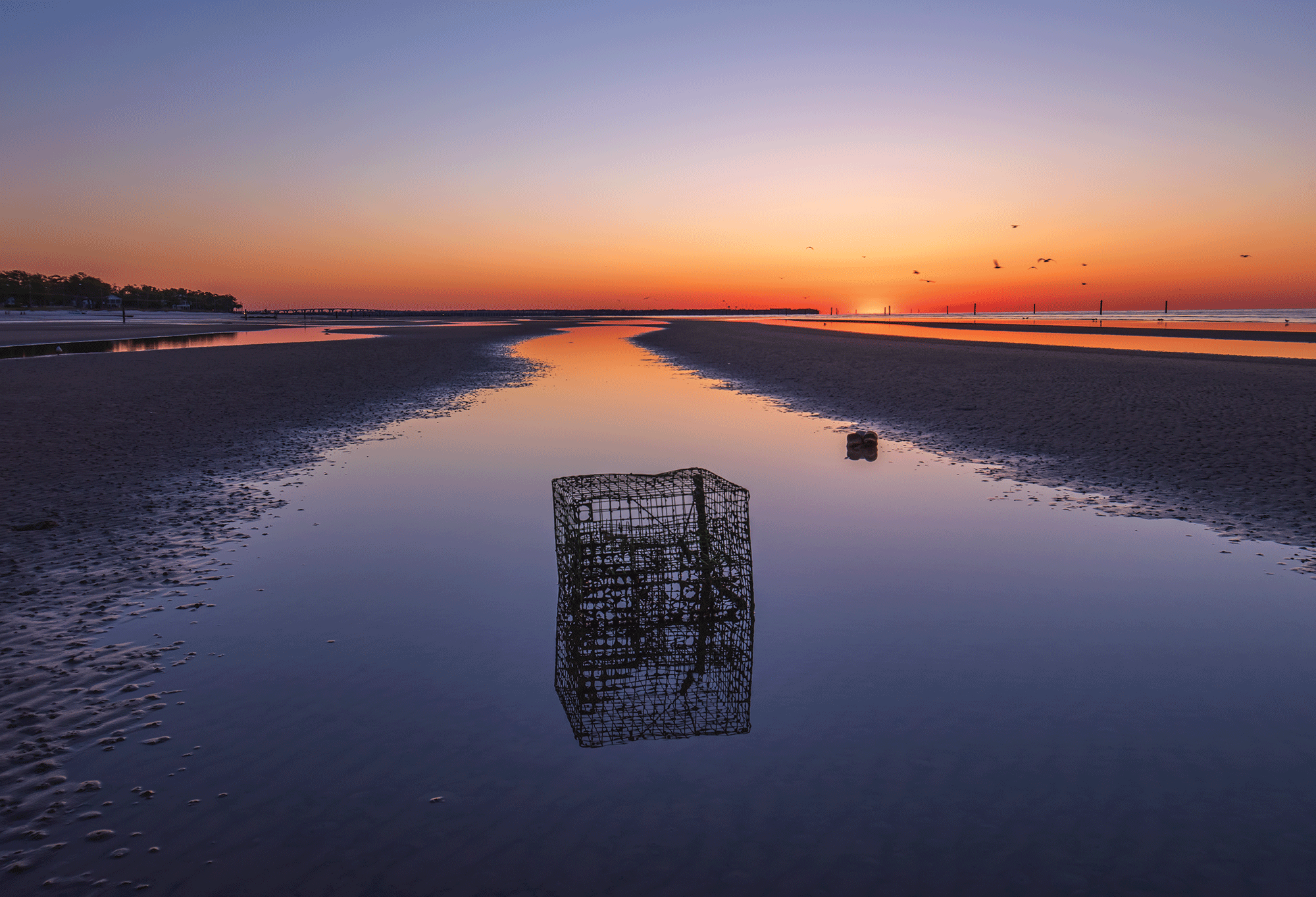 CrabTrap_DSC_8818_DJ.png
