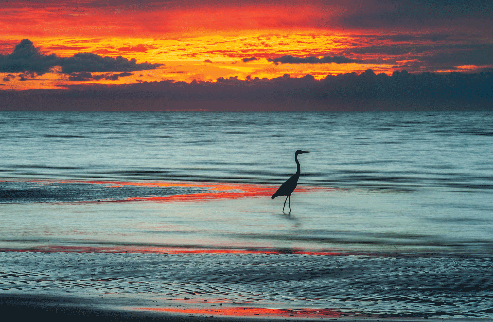 HeronSunrise_DSC_9842_082323.png