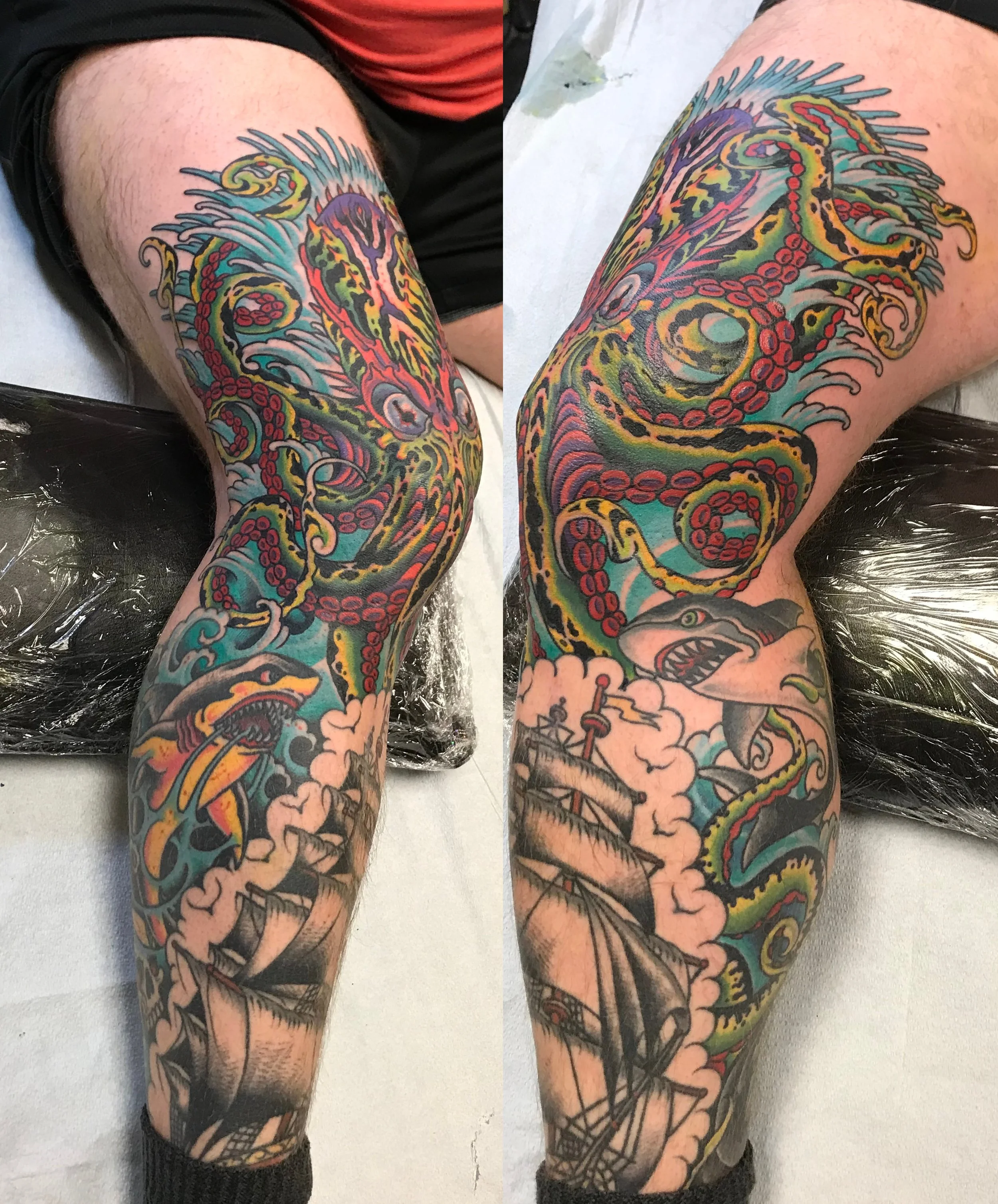 octopus.jpg