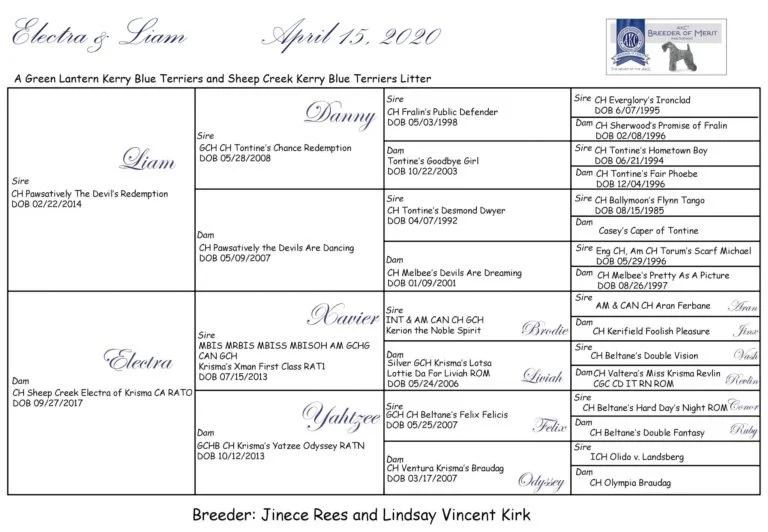 ELECTRA IS EXPECTING!