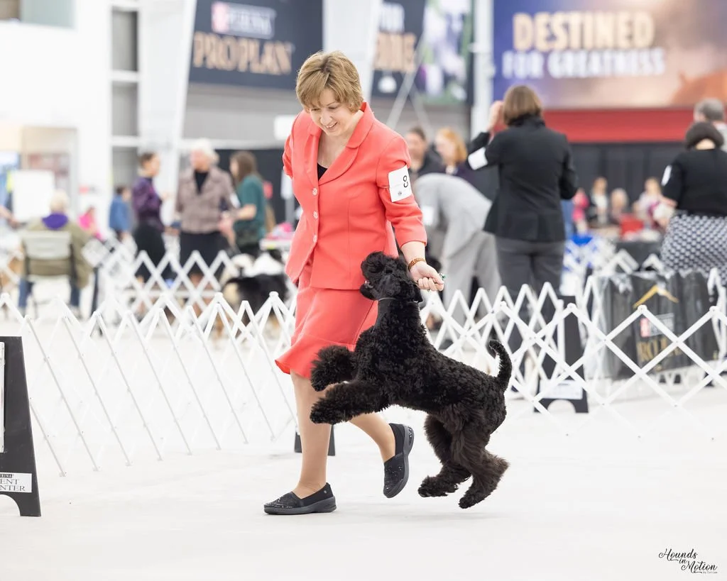 Having fun in the ring