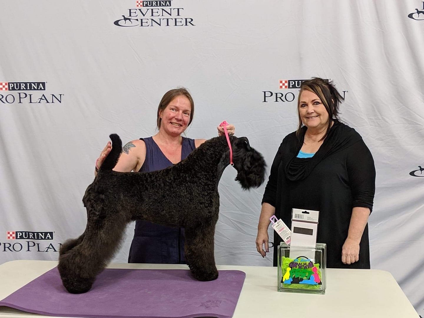Electra has been a grooming competition dog for Lisa Brown Watson