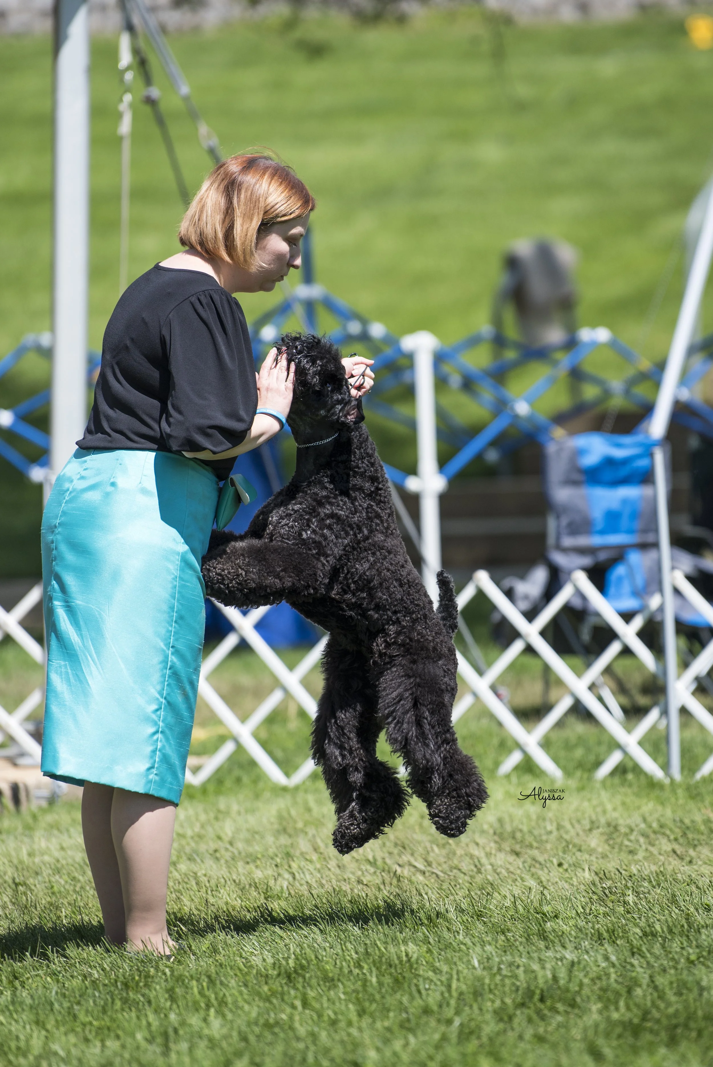 It's not showing with Ember without hops!