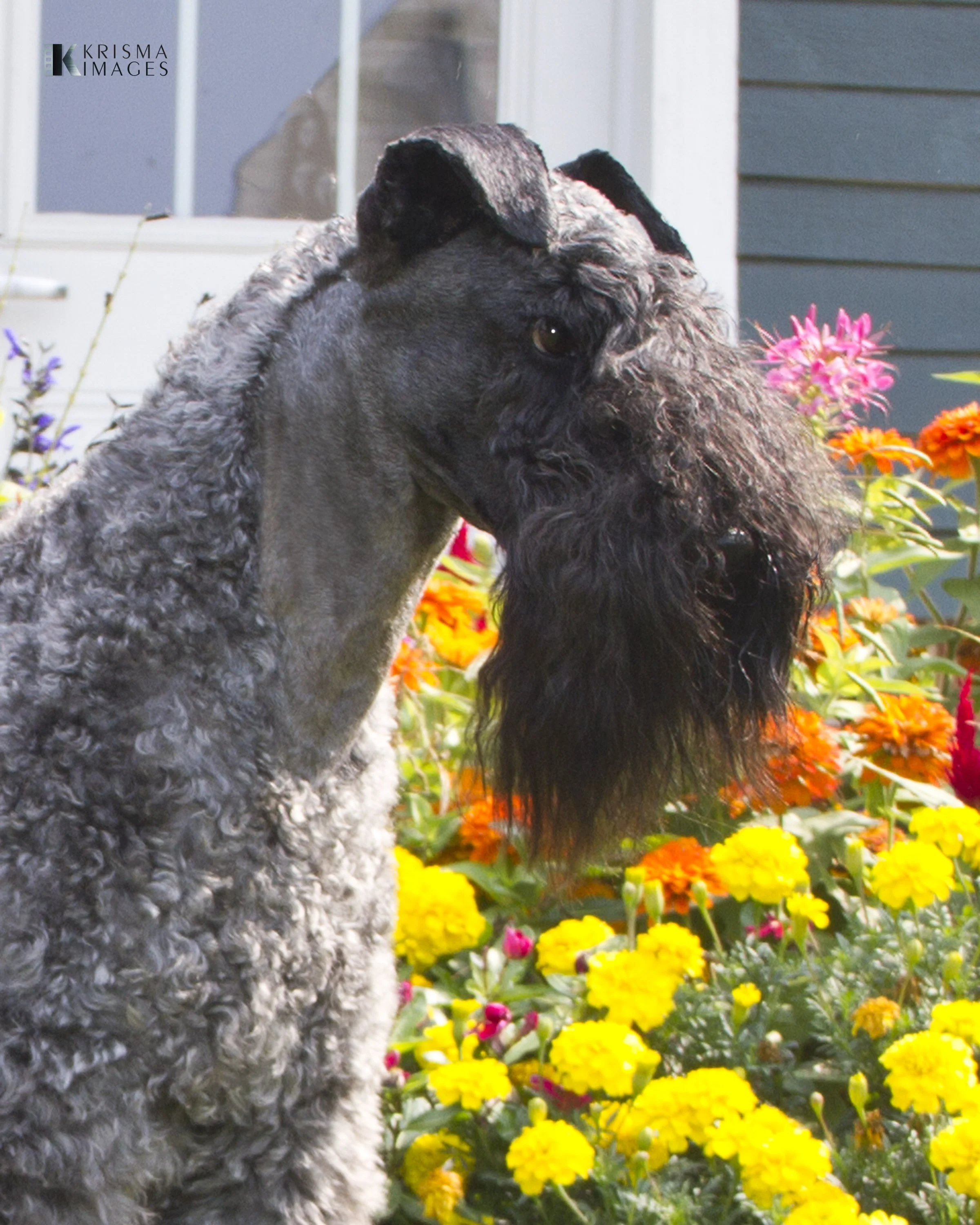 8x10 Fynn head 9-20 IMG_6867.JPG