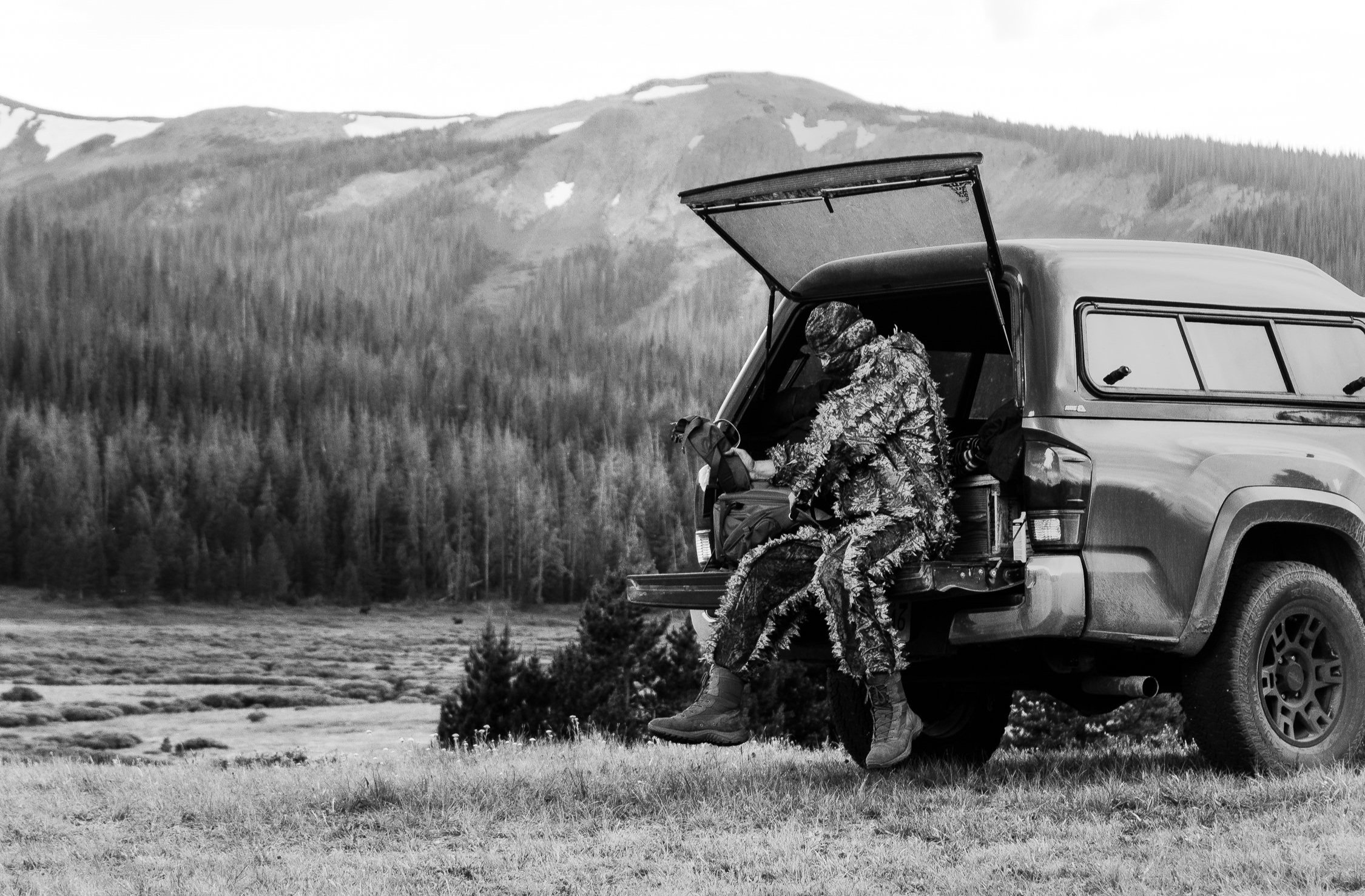 moose-82.jpg