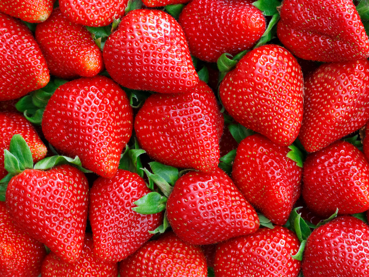Grower Owned Co-Op, Fruit & Vegetable Marketing & Distribution | North ...