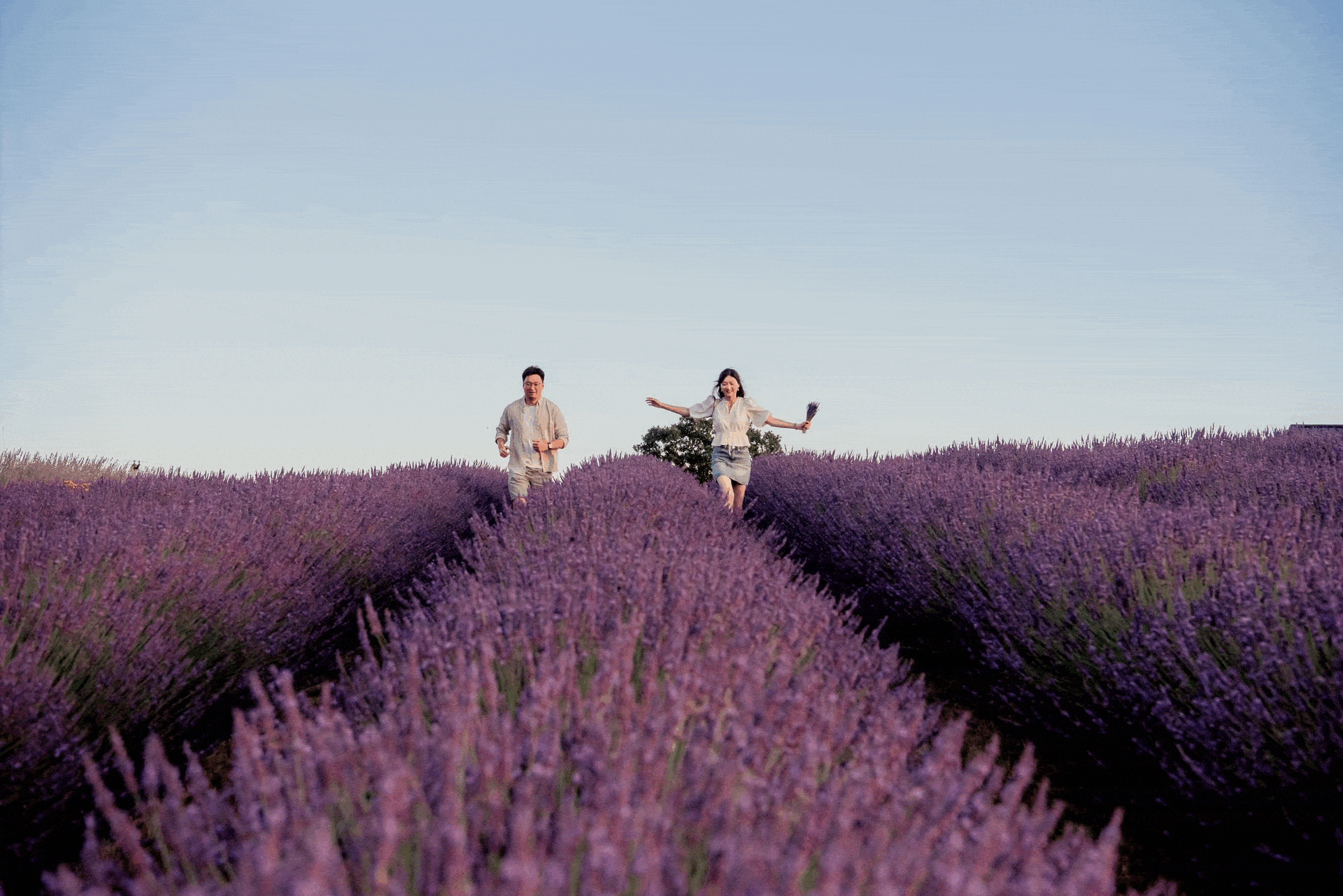 Two people walking through Hope Ranch lavender field on a clear day. Engagement photo, hood river