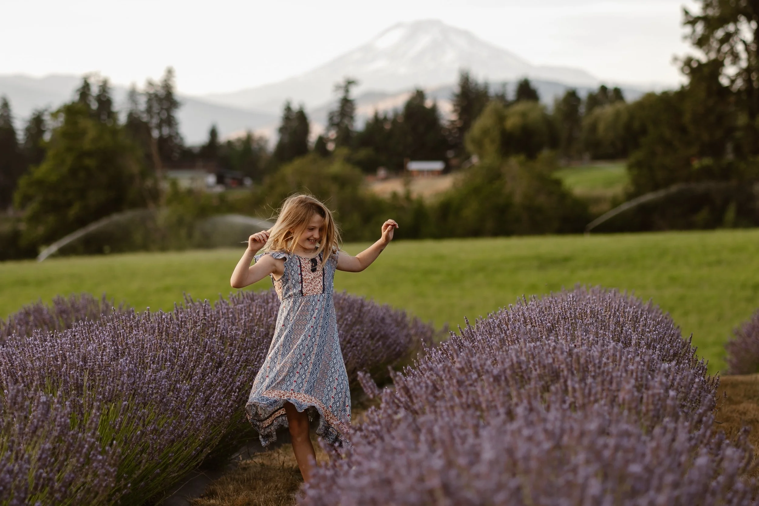 family photography in lavender farm.  A young girl in a long patterned dress joyfully running through a lavender field with Mount Hood in the background. Hope Ranch Lavender