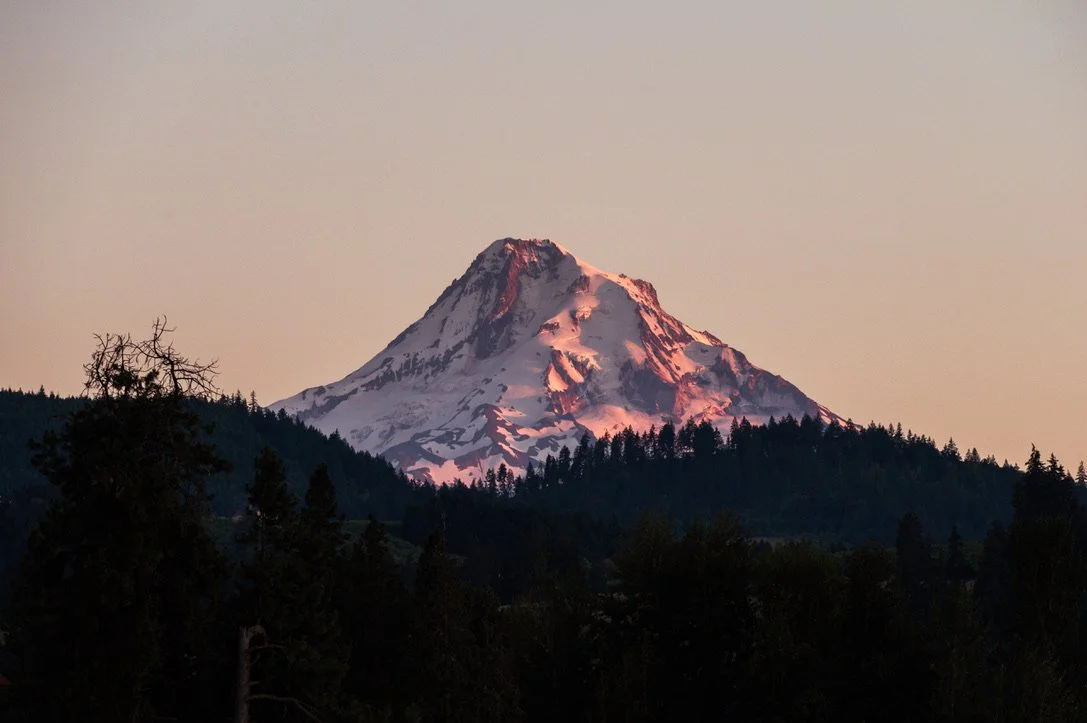 Snow-capped Mt. Hood at sunset with a forested foreground from Hope Ranch Lavender in Hood River, Oregon wedding