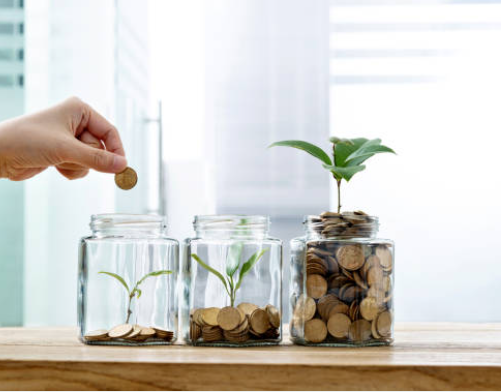 Profit per project