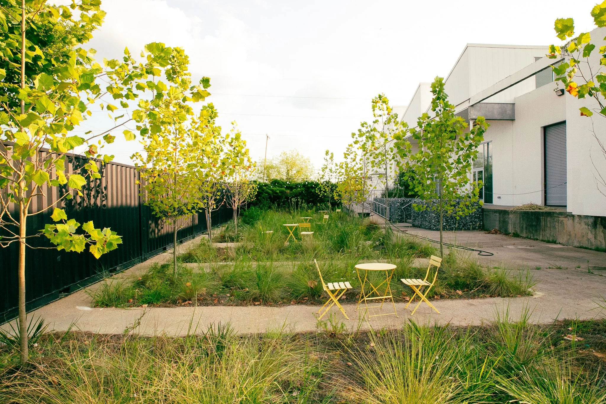 What if we could reverse urban heat island effect?