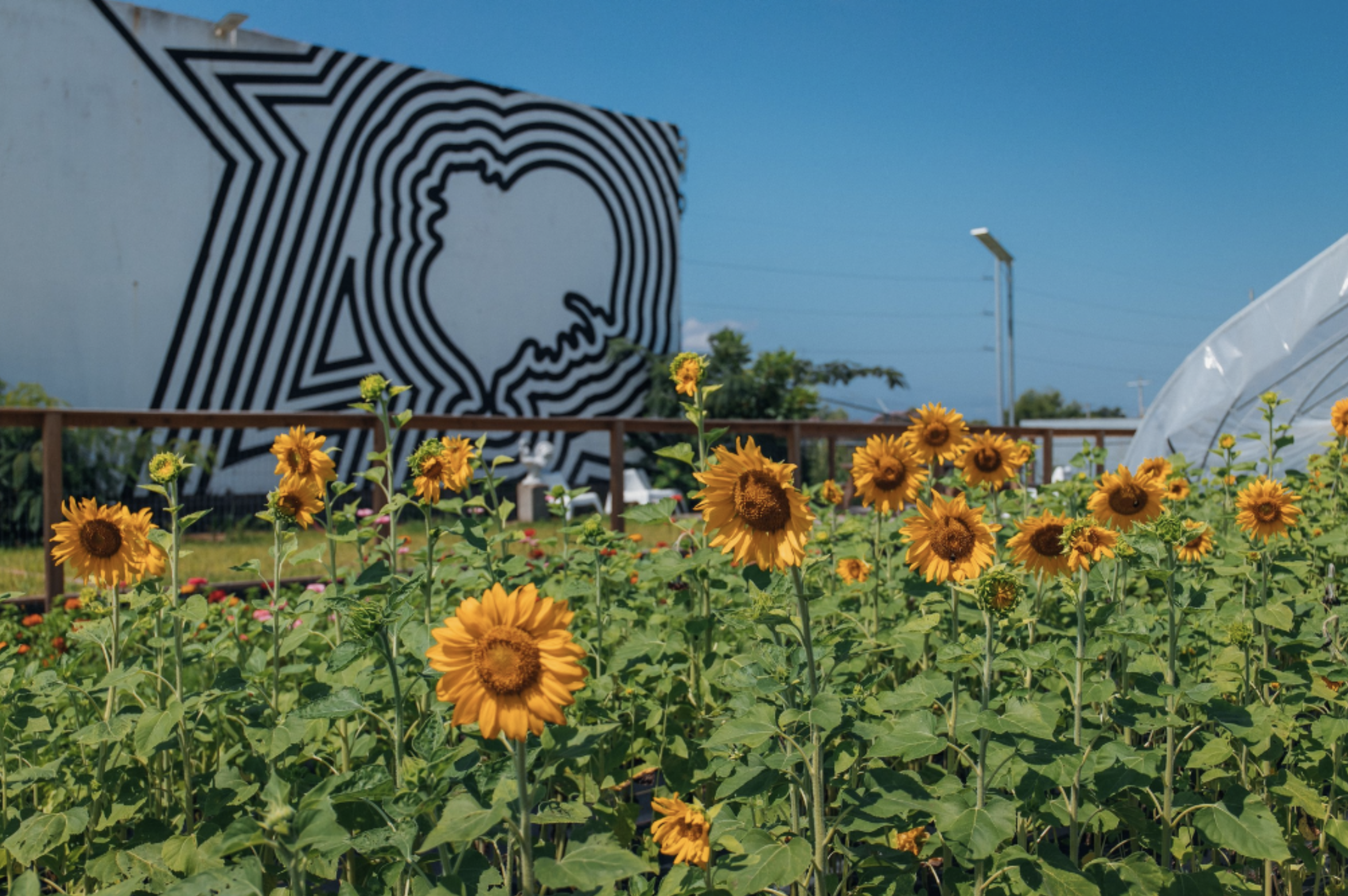 Fertile Ground Project