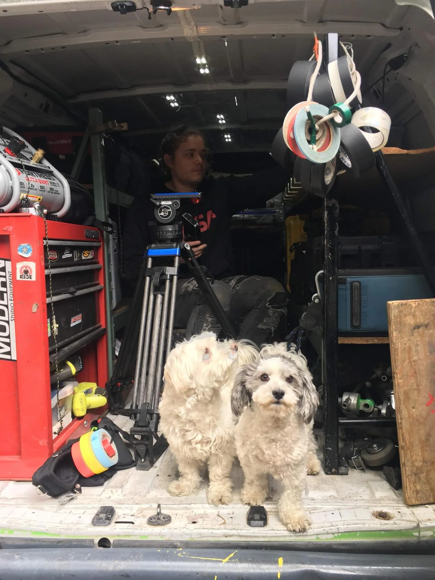 Due to budget cuts your Incredible Bulk team who drives in your truck will now be Duke or Xani. Unfortunately, Xani has not learned quiet on set so please keep this in mind. They are both extremely fluffy and we are confident they will quickly be tra