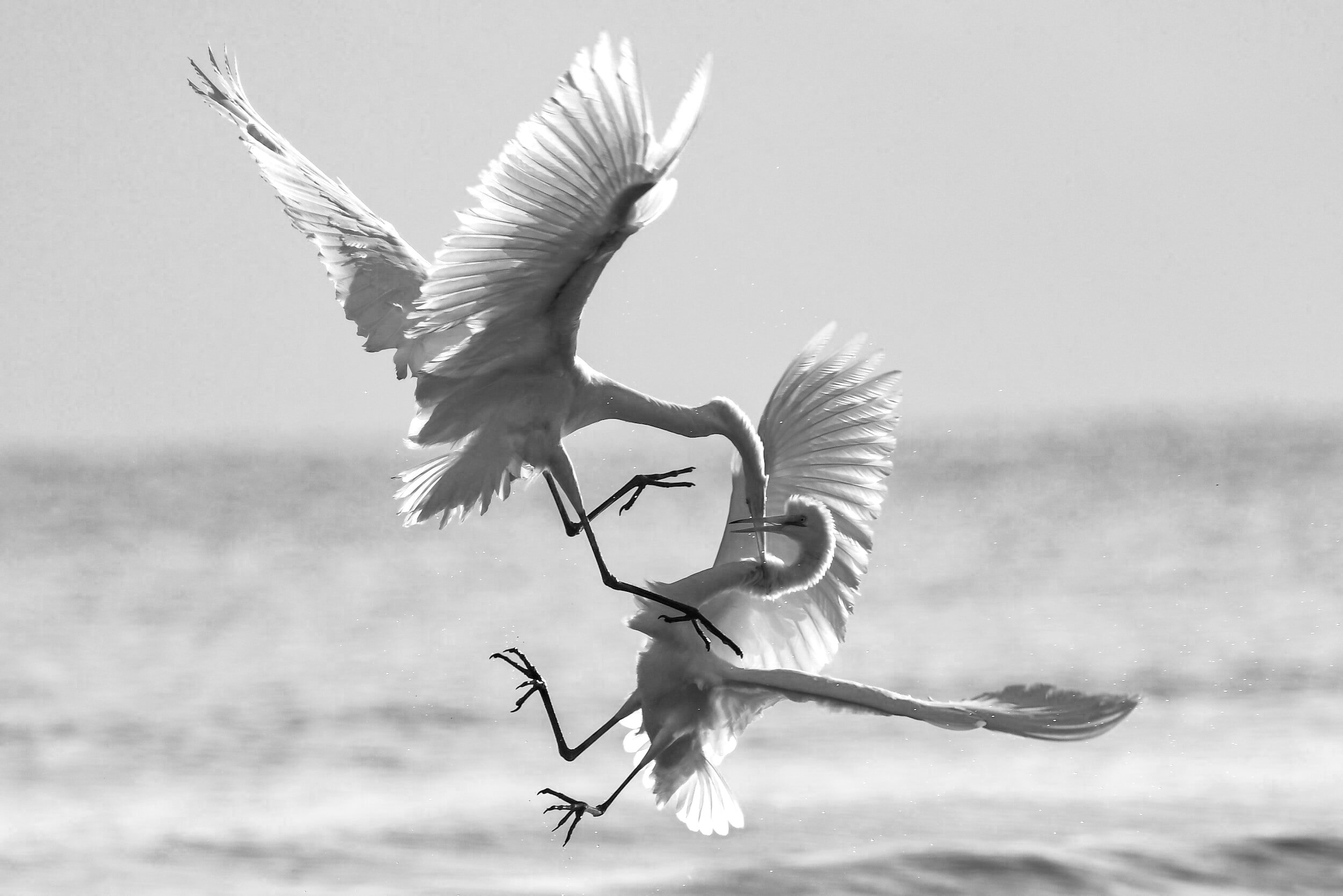 Conflict Leads to Deal Innovation