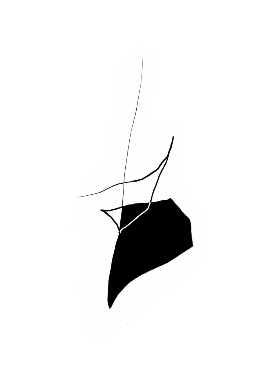 Abstract black shape with thin lines extending from it on a white background.