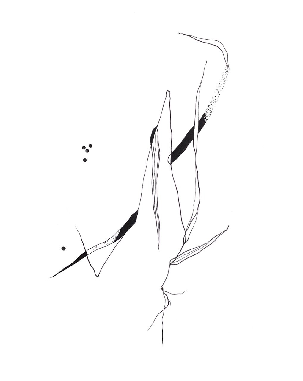 Abstract black and white line drawing of a grass.