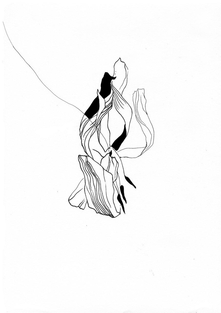 A minimalist black and white line drawing of a flower with delicate, flowing petals.