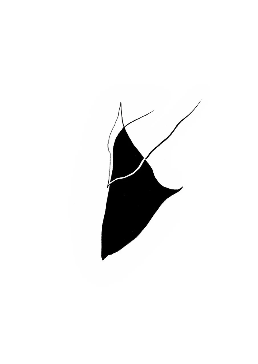 Abstract black and white minimalist artwork.