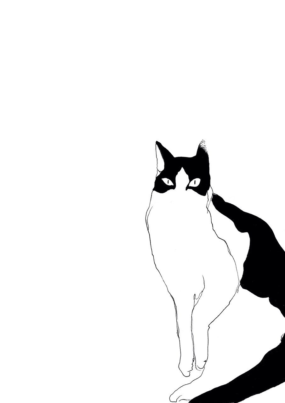 Black and white line drawing of a cat with distinctive markings, sitting with its body facing slightly to the right and its head turned to look directly at the viewer.