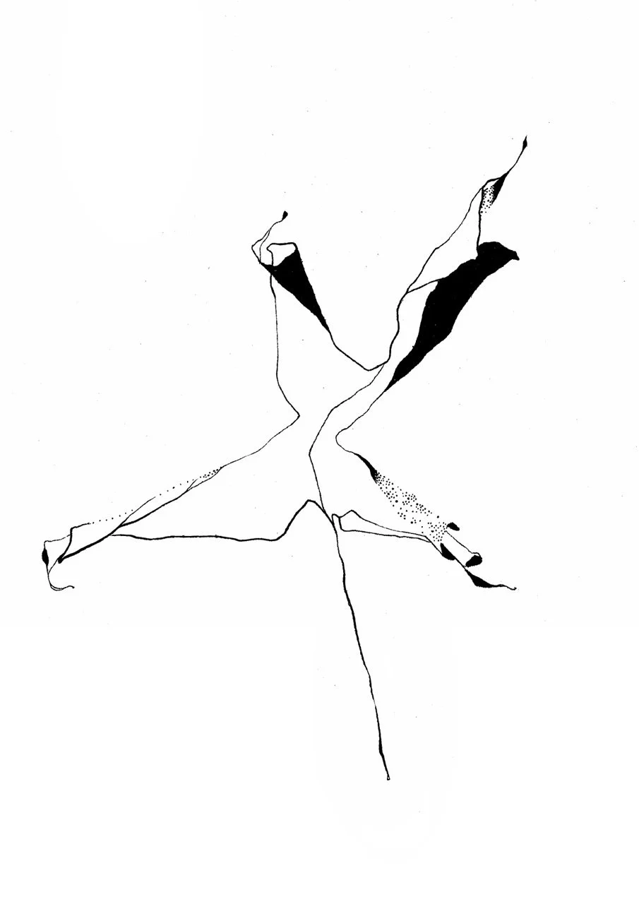 Abstract black and white line drawing with scattered black patches resembling a star or butterfly shape.