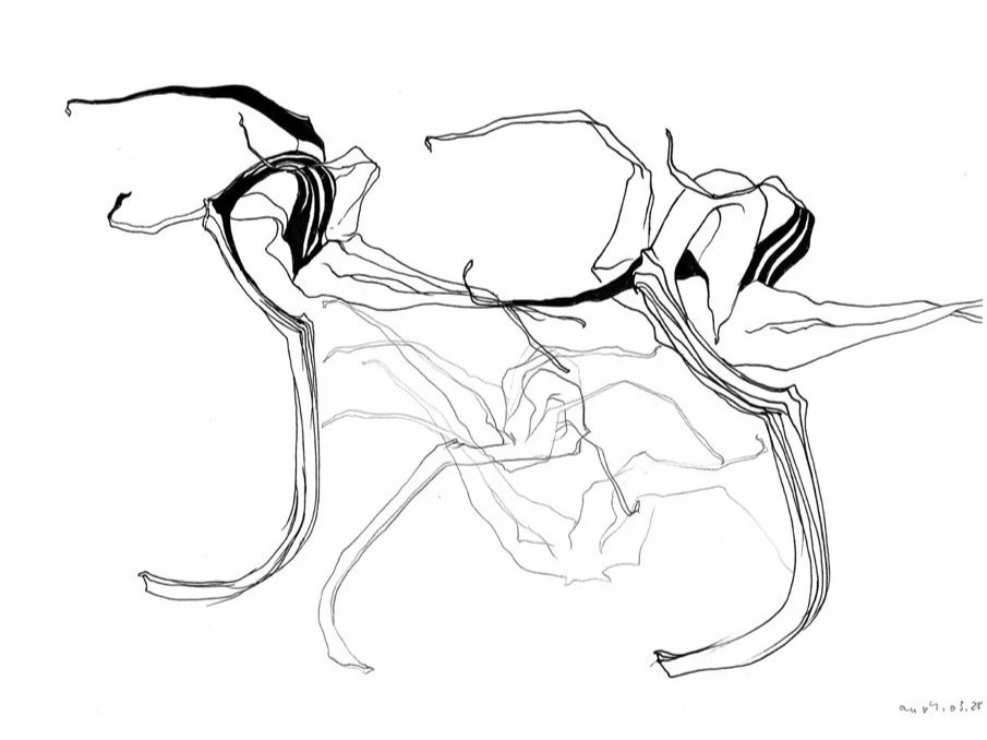 Line drawing of a tomatoes.