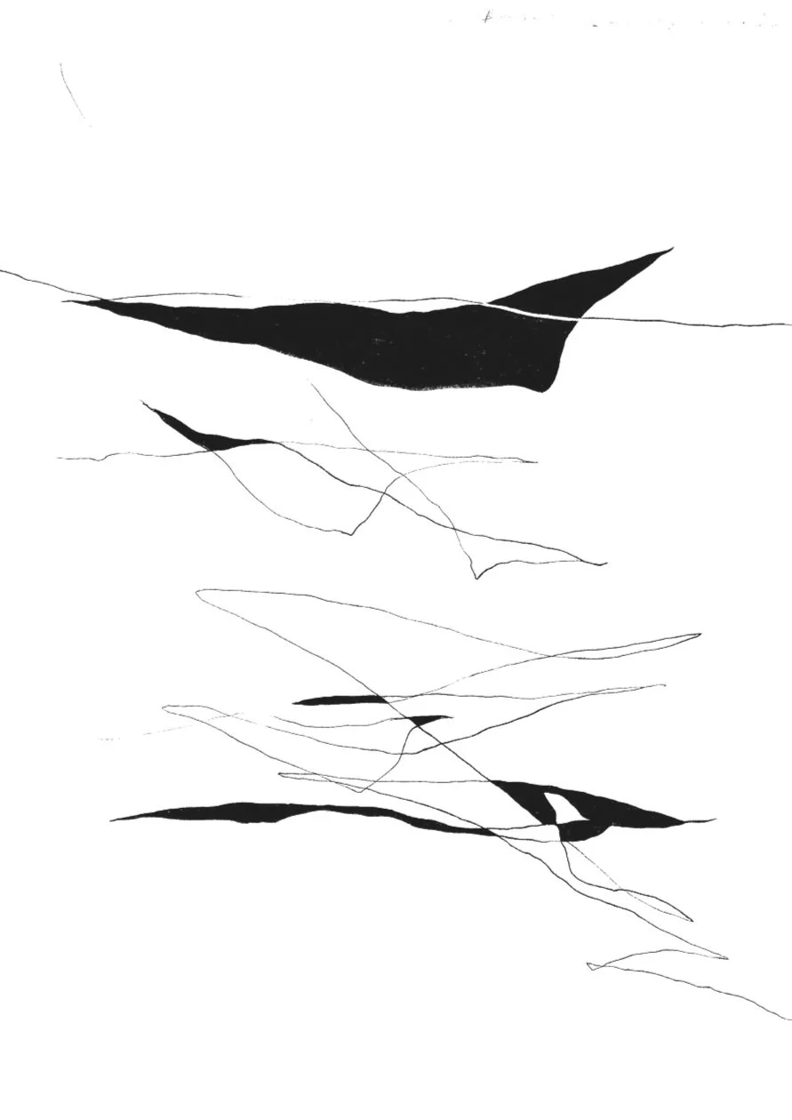 Abstract black and white artwork with irregular shapes and fine lines.
