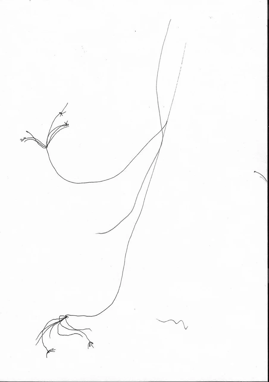 ustrehova973.jpg