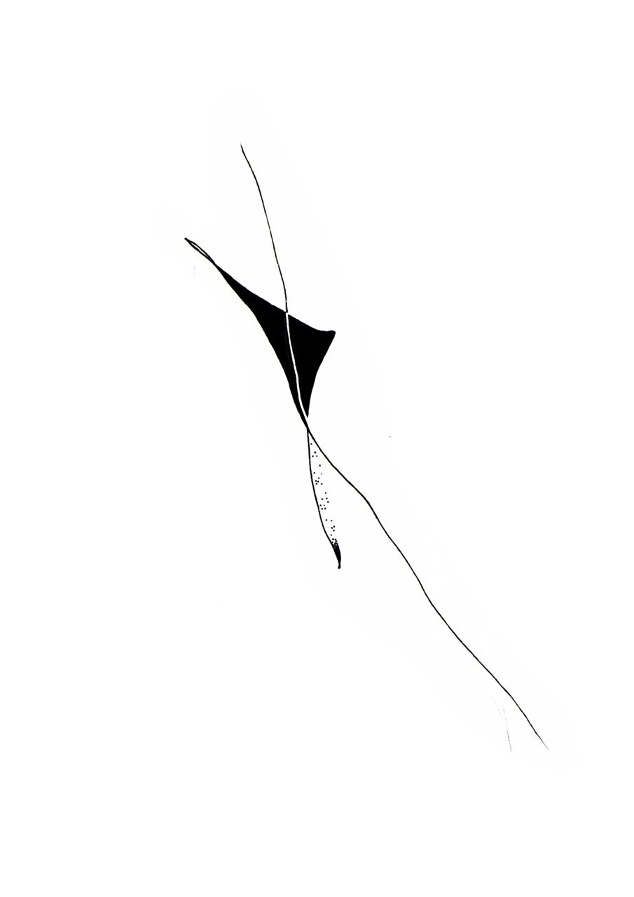 Abstract black and white line art with a central black shape and fine lines extending outward, resembling an artistic ink drawing.