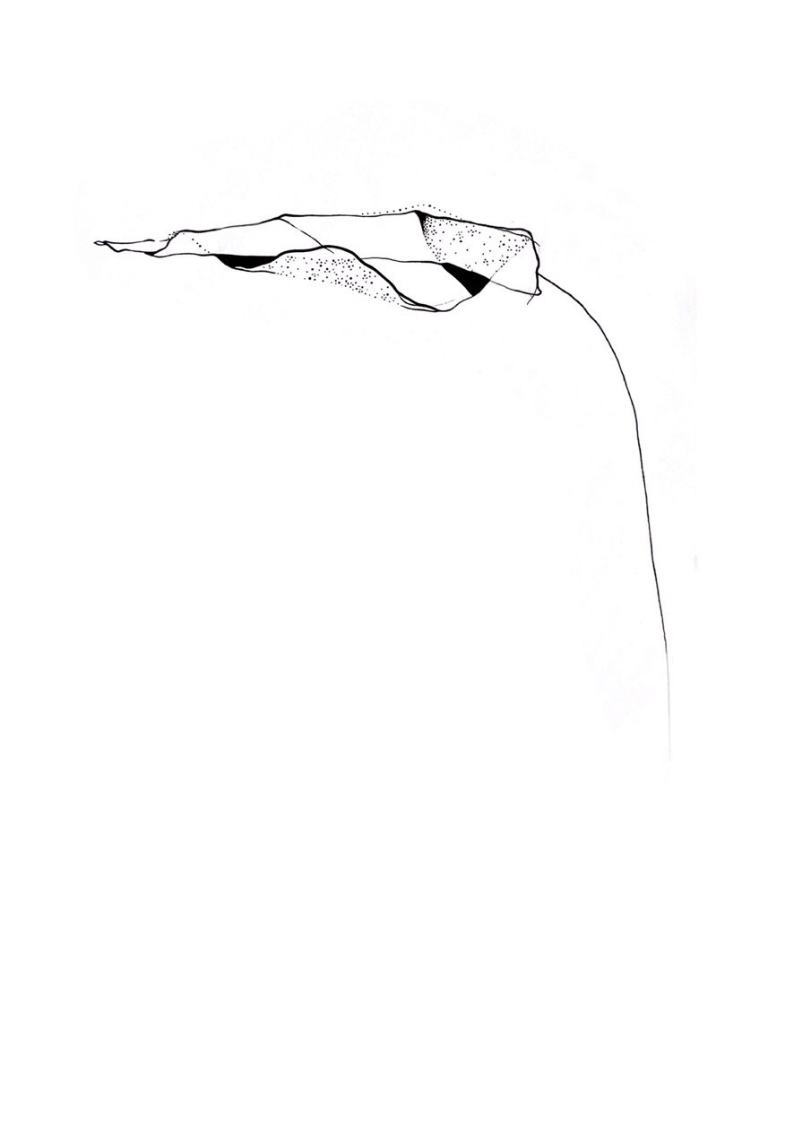 Minimalist black and white line drawing of monstera.
