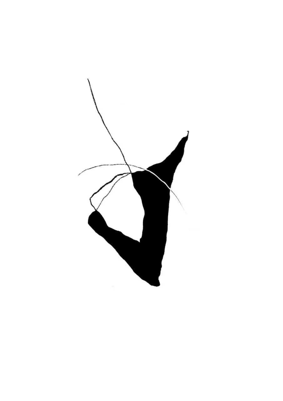 Abstract black and white minimalist artwork.