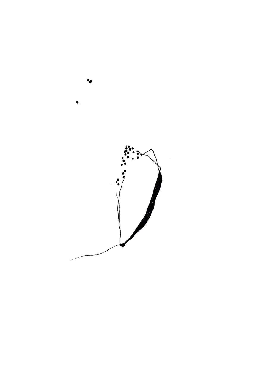 Abstract black ink drawing with curved lines and dots on a white background.
