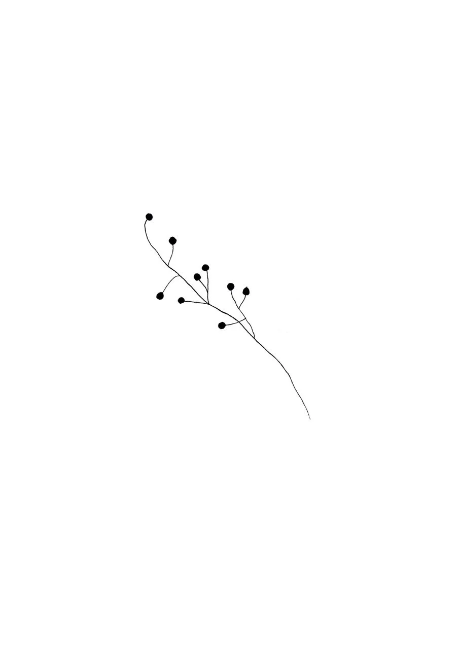 A minimalistic black and white illustration of a botanical branch with small round berries or buds.