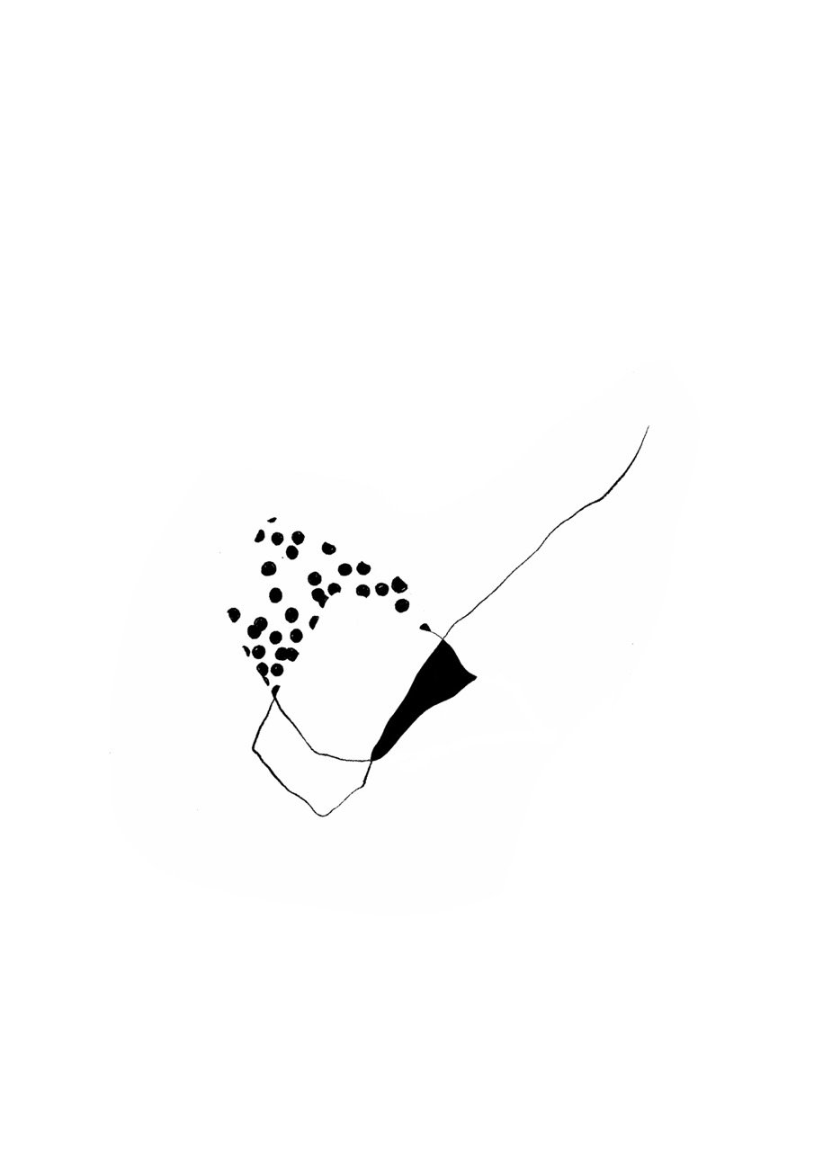 A black and white abstract flow with scattered dots and boundary lines.