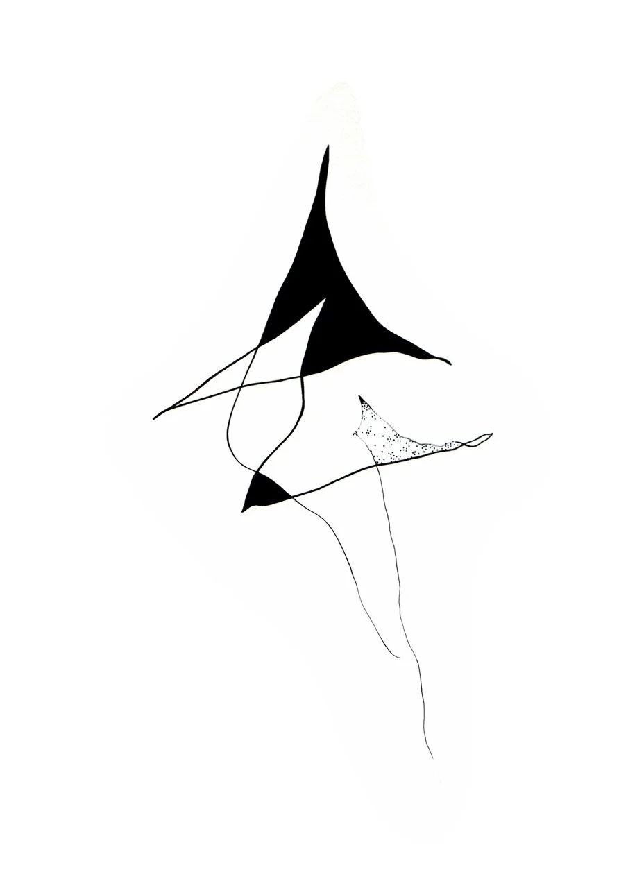 Abstract black and white line art design with sharp, flowing shapes and fine lines.