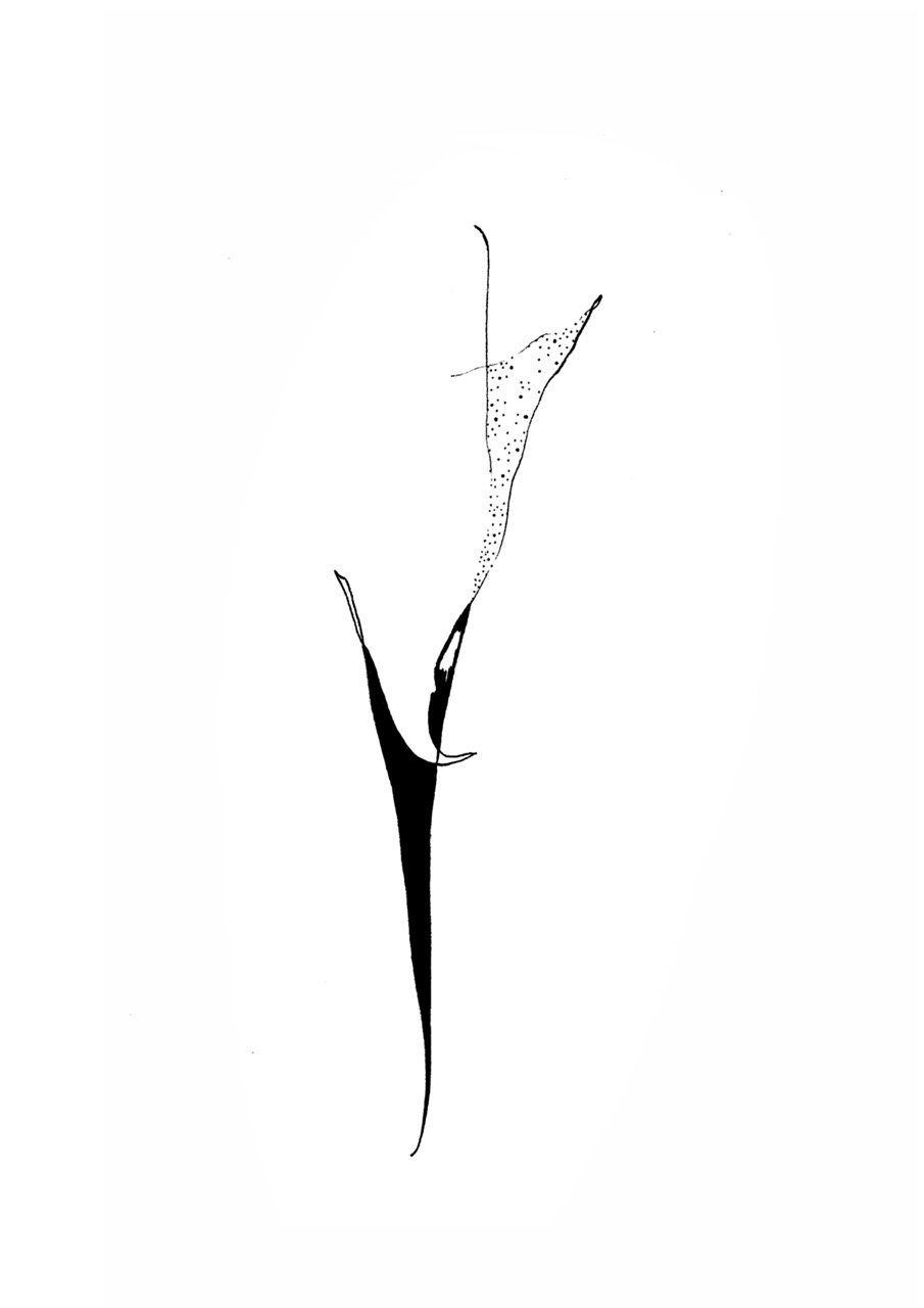 Minimalist black and white line drawing.