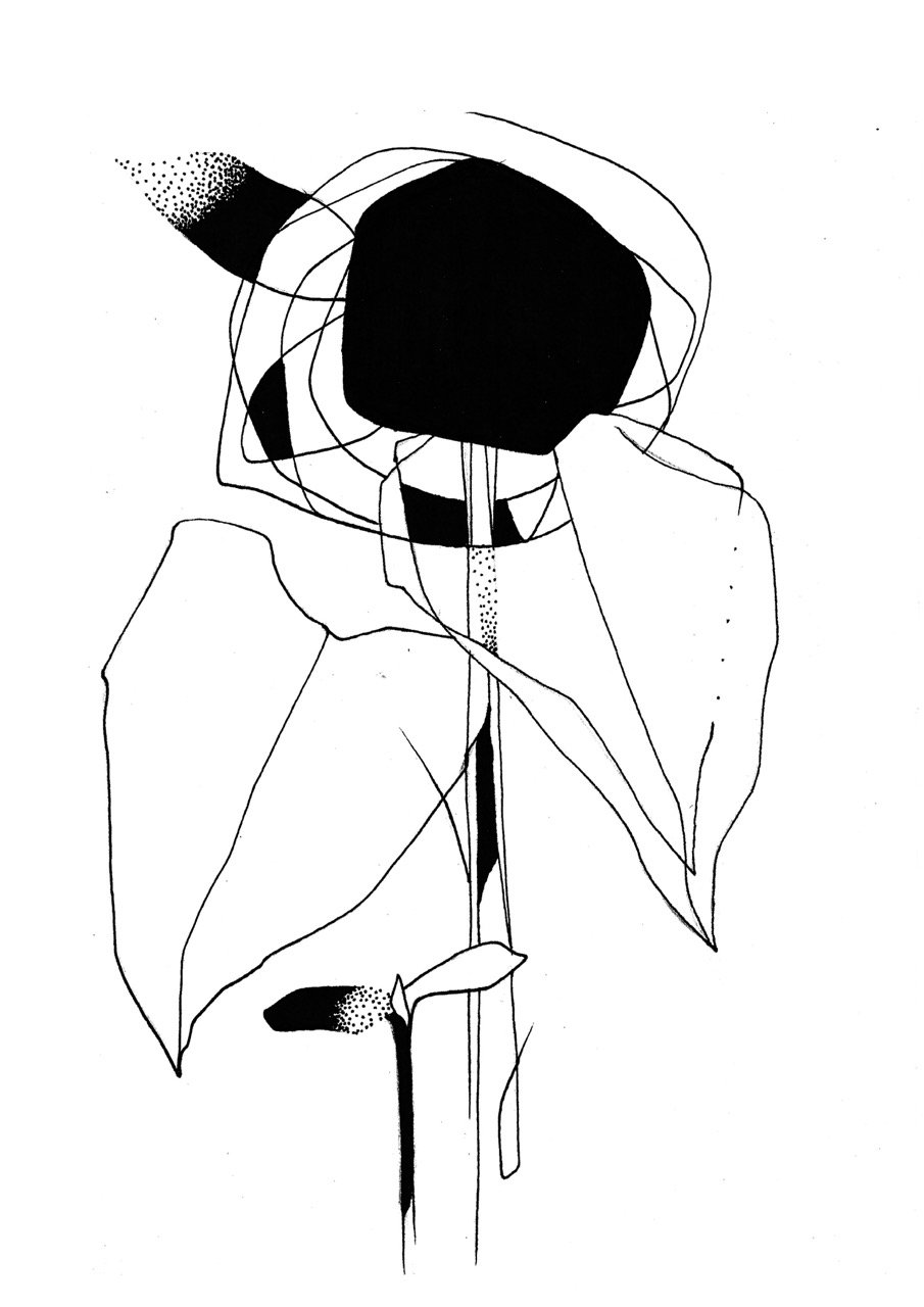 A black and white abstract drawing of a sunflower,  with a large dark circular center, surrounded by schematic lines representing petals, leaves, and stem.
