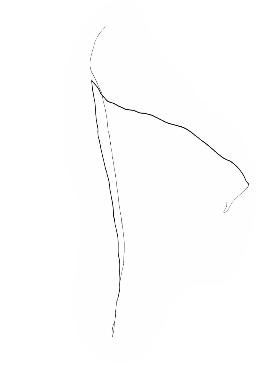 auLNWK02