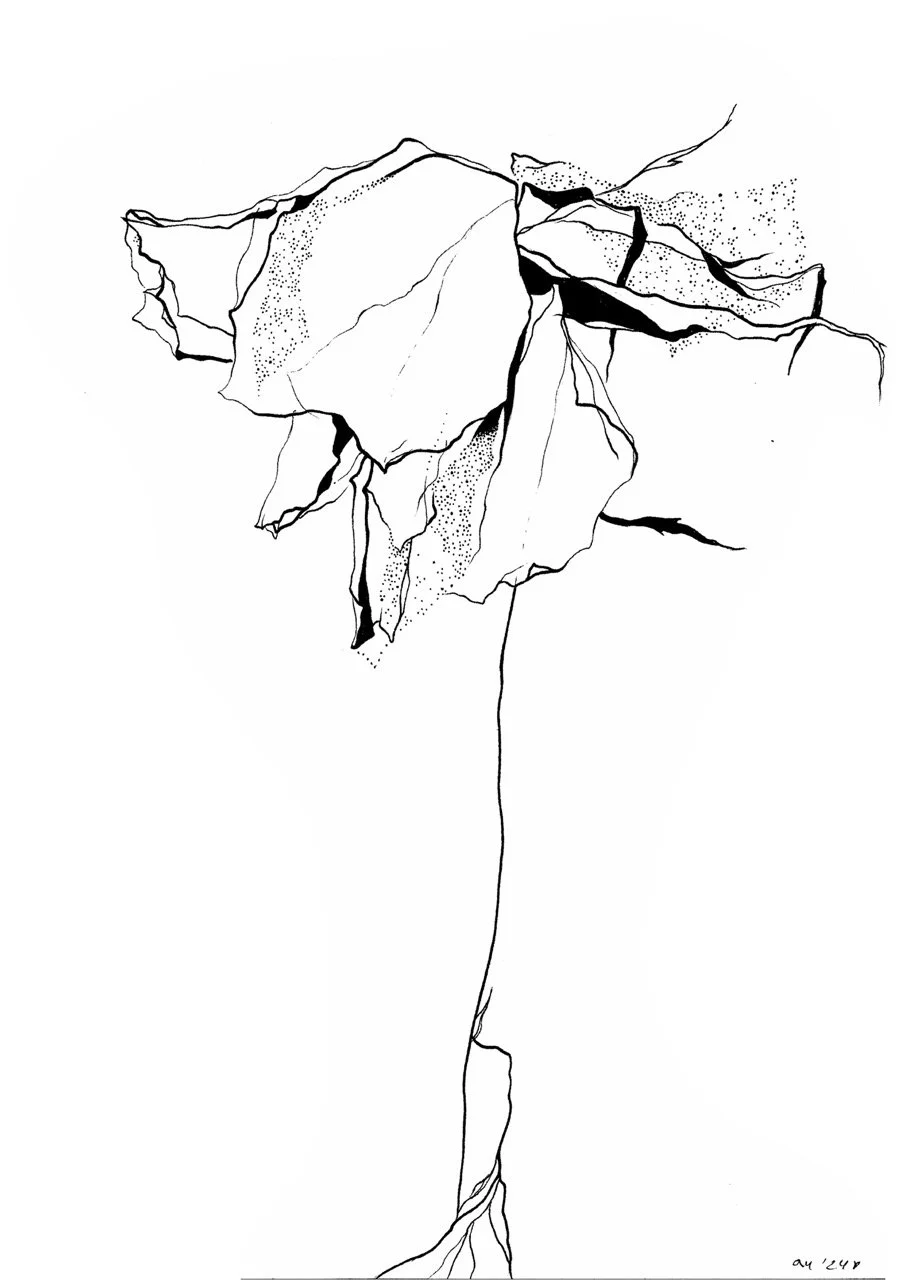Black and white line drawing of a withered rose bud with crinkled petals, a long stem, and visible veins, on a plain white background.