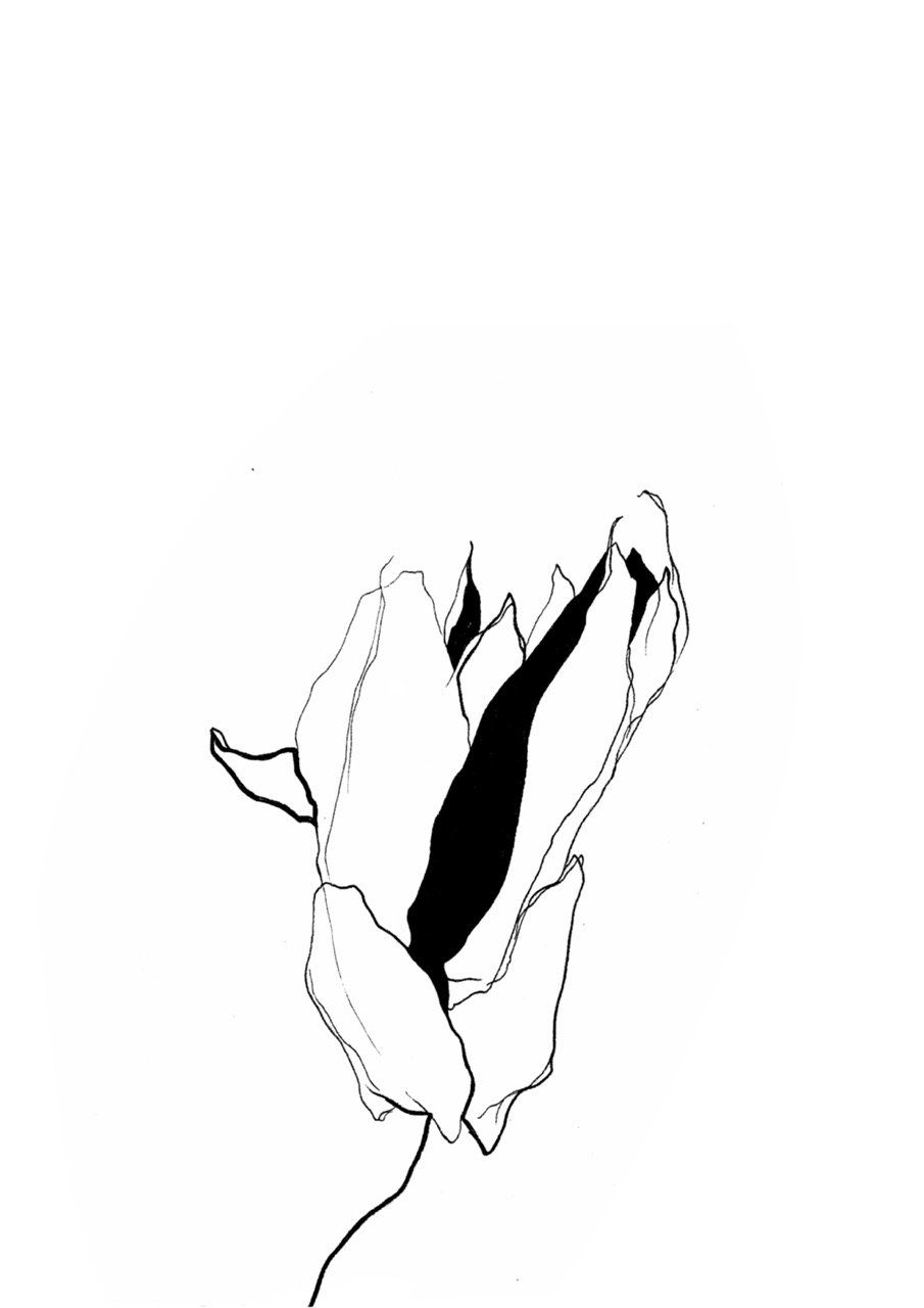 Black and white line drawing of a flower with abstract, elongated petals and a dark central area.
