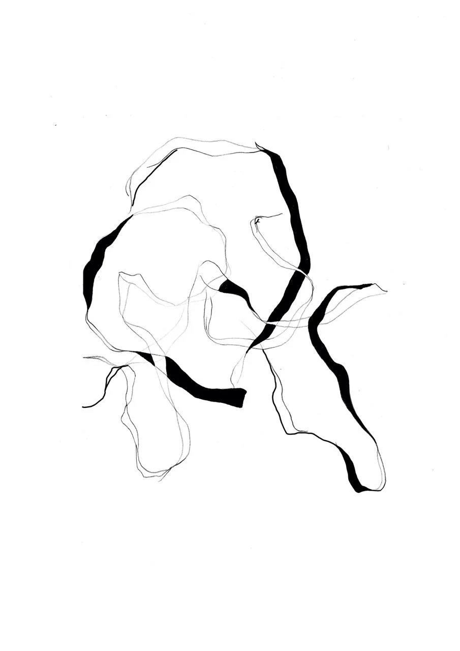 Abstract black and white line drawing of organic shapes with bold, thick black lines accenting some contours.