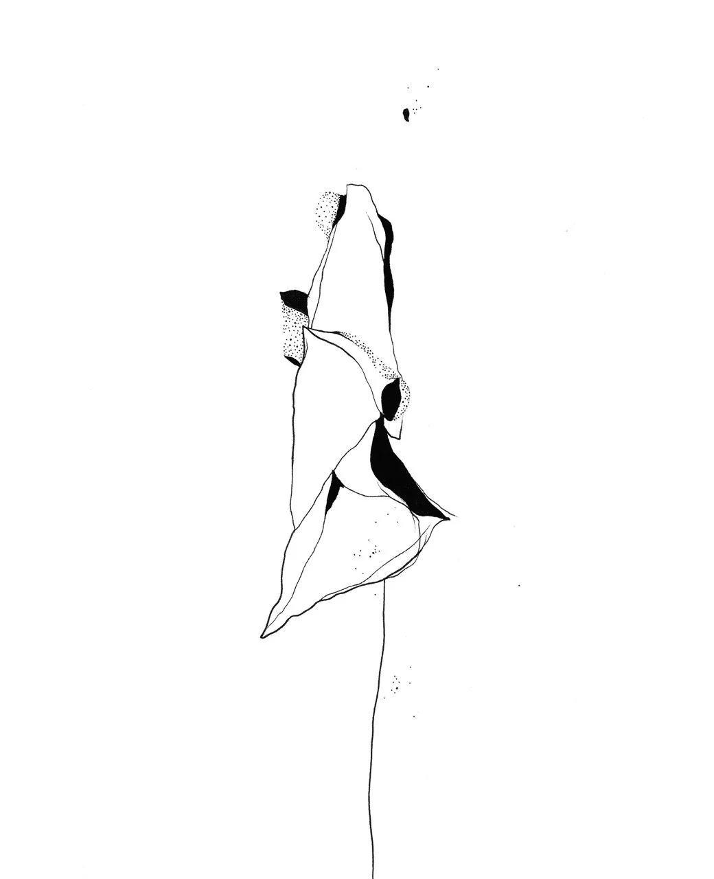 Black and white abstract line drawing of a monstera leaf , featuring bold black accents and dotted shading.
