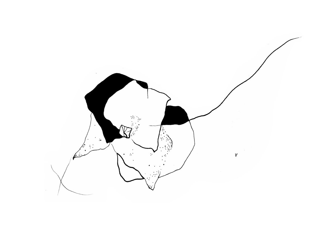 Abstract black and white drawing of poppy flower.