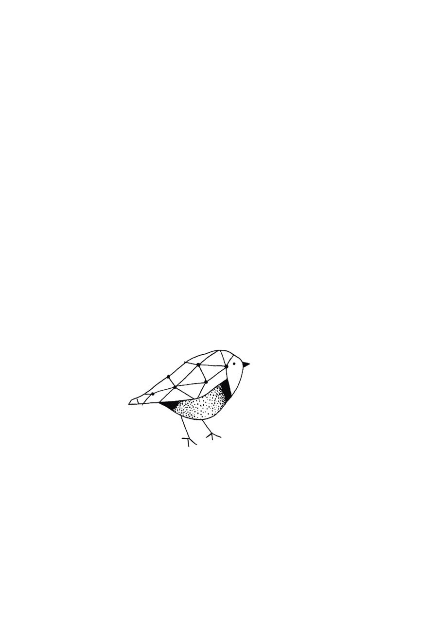 aubirdy.jpeg