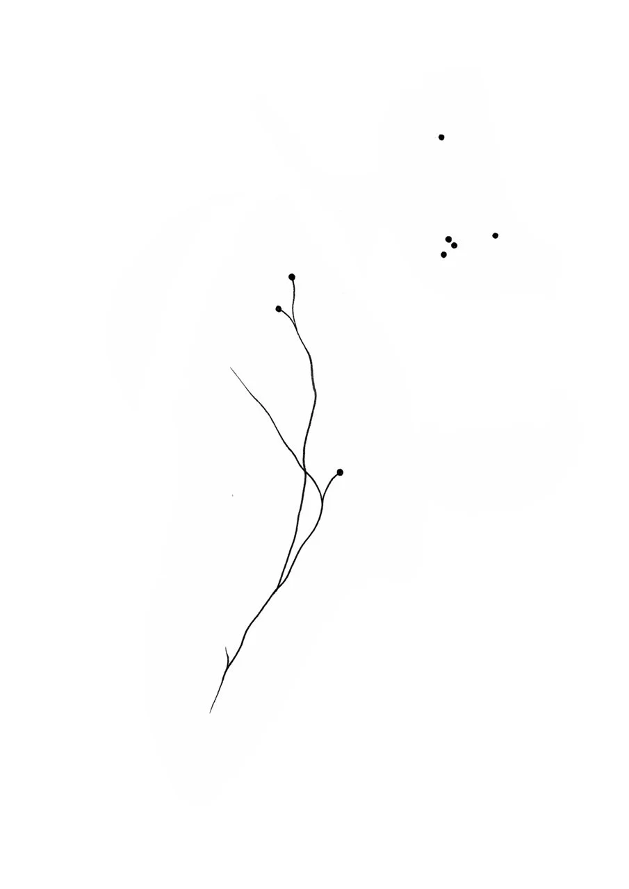 Black line drawing of a thin, branching plant with small round buds and a few small groups of dots in the background.