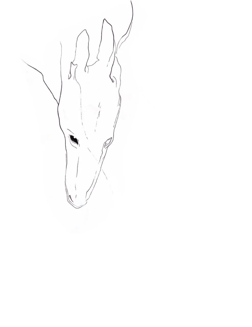 Line drawing of a dog's head facing downward, with detailed features and expressive eyes.