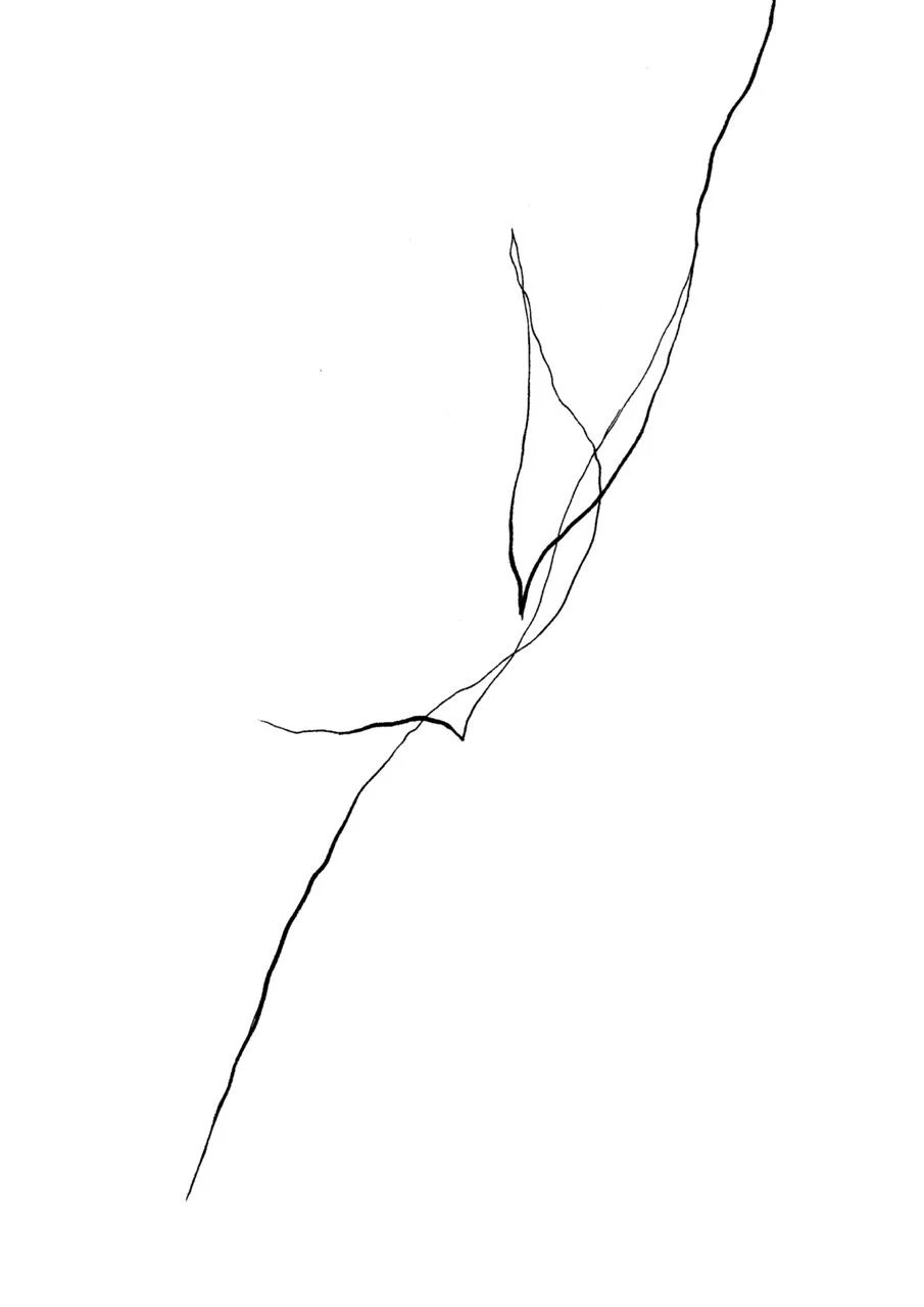 auLNWK02