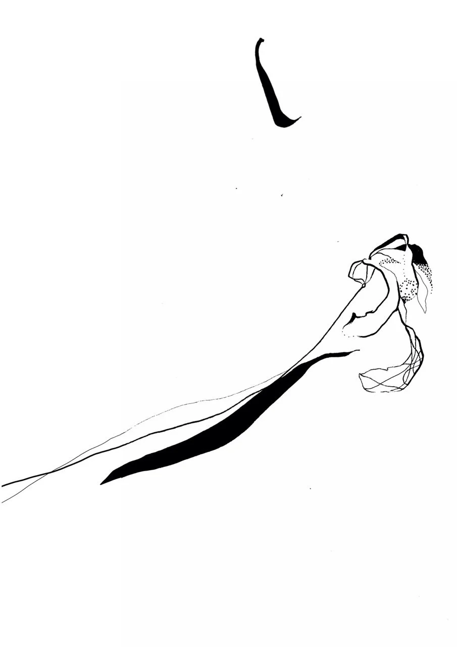Abstract illustration of dead tulip, created with minimal black ink strokes on a white background